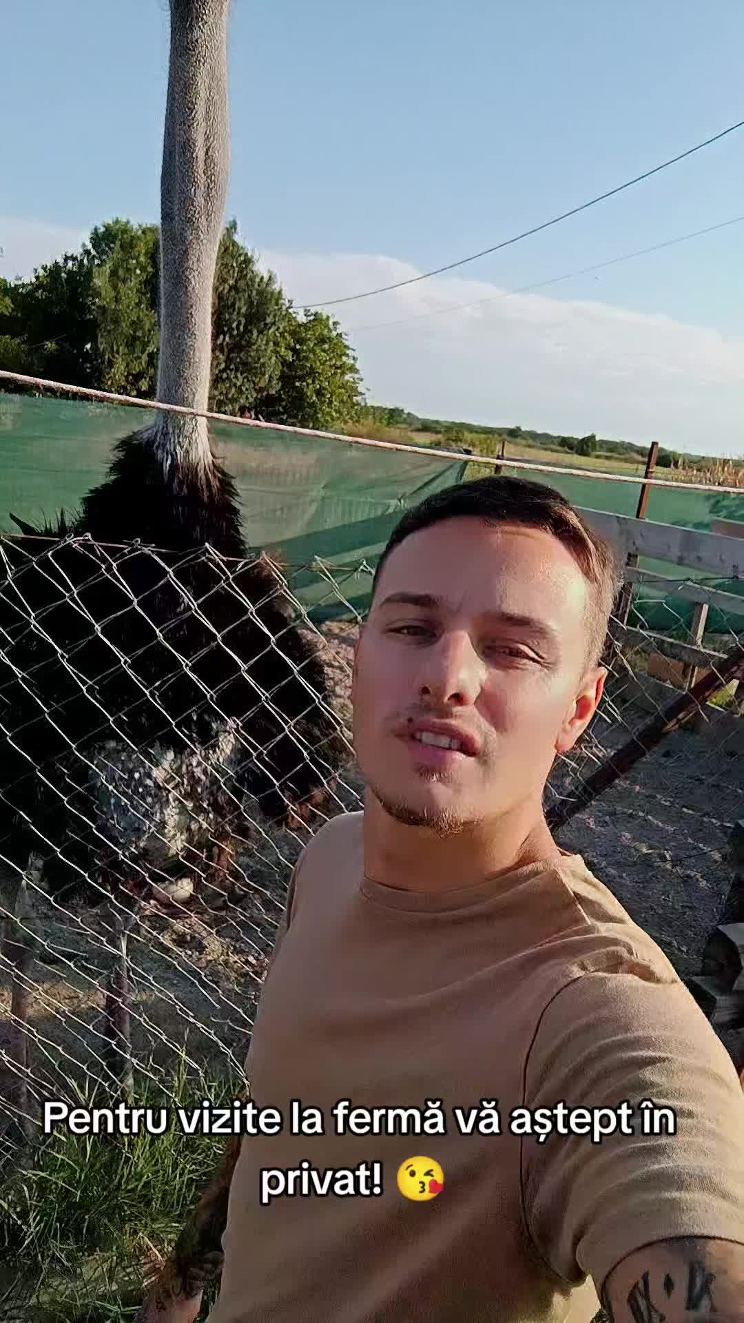 @Marius Niță
