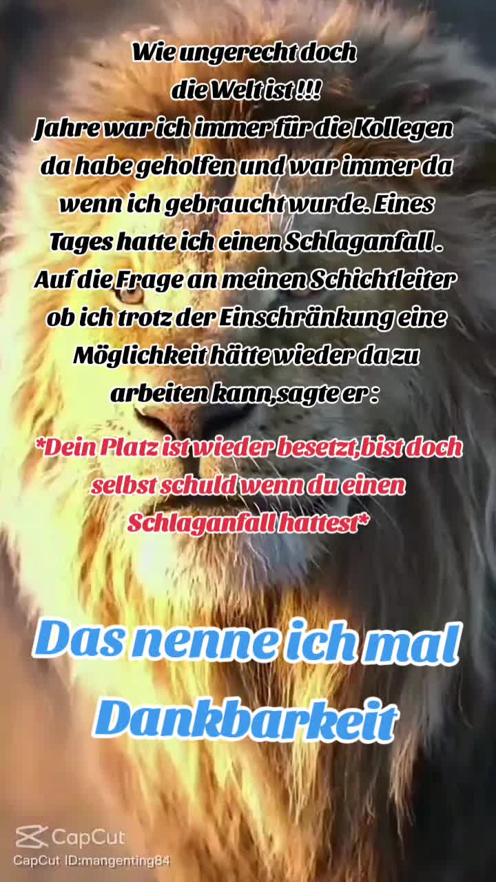 @papagero_lightbrothers_vsa
