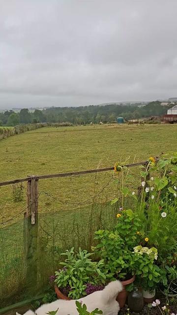 @Pippa's Country Life