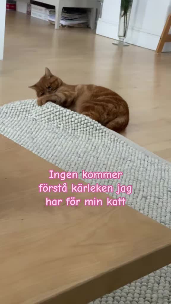 @Klara❤️