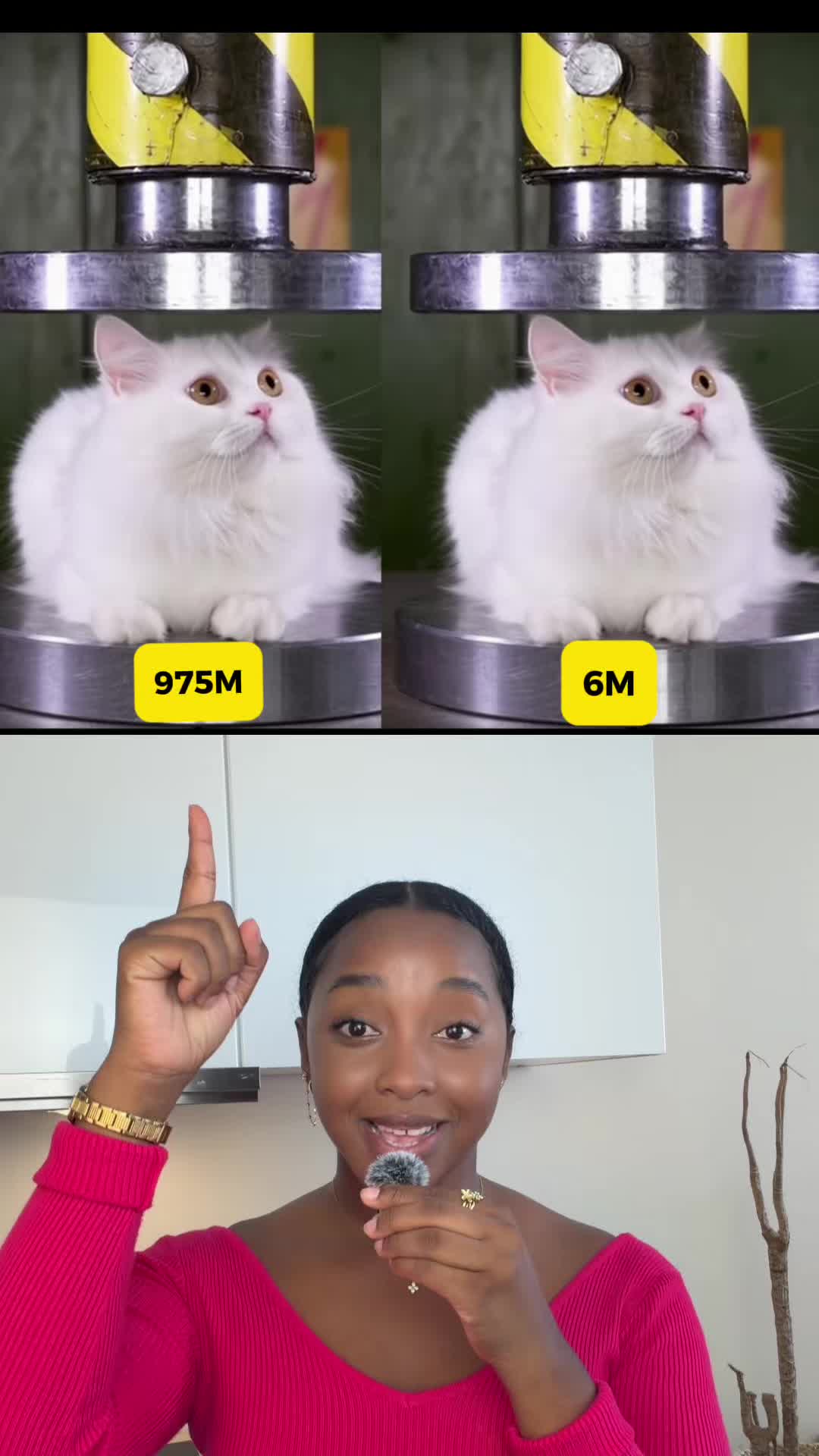 @naissviral
