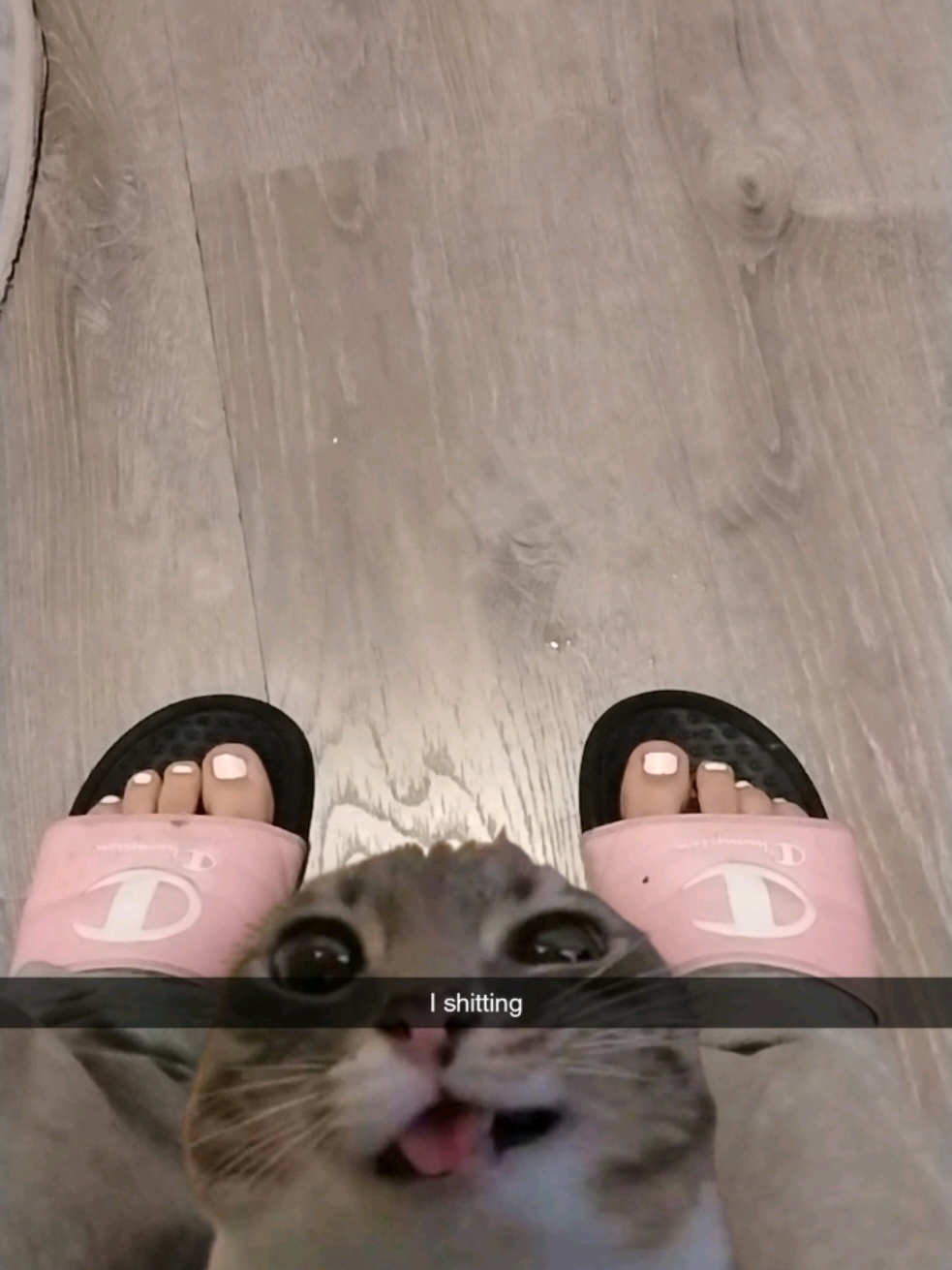 @🌚🌚🌚