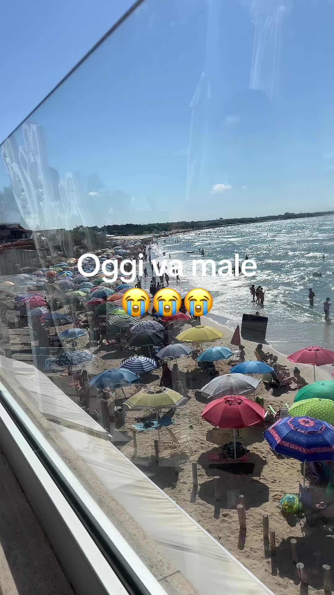 @Lisa Riviello