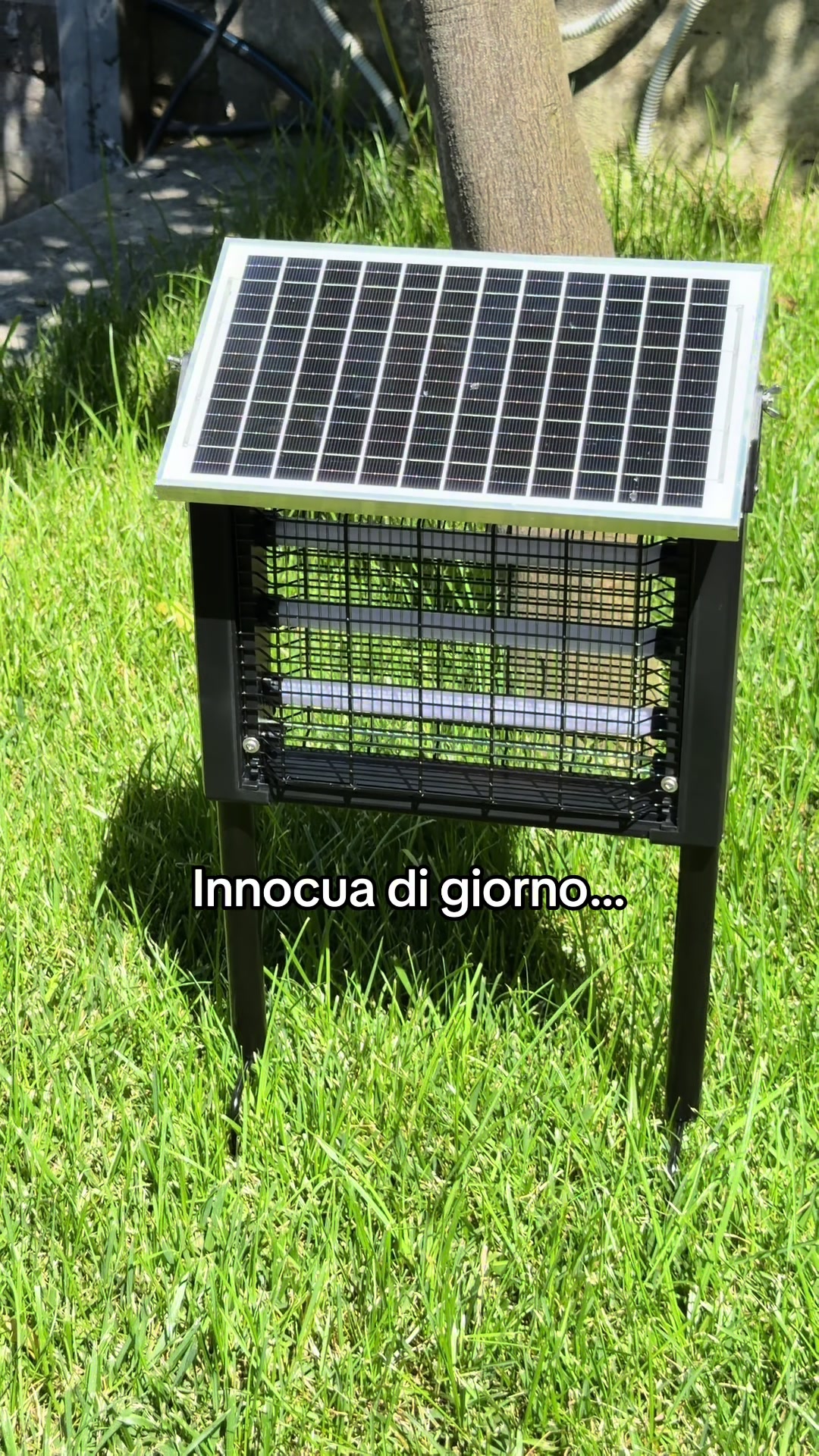 @Gaetano Abatemarco