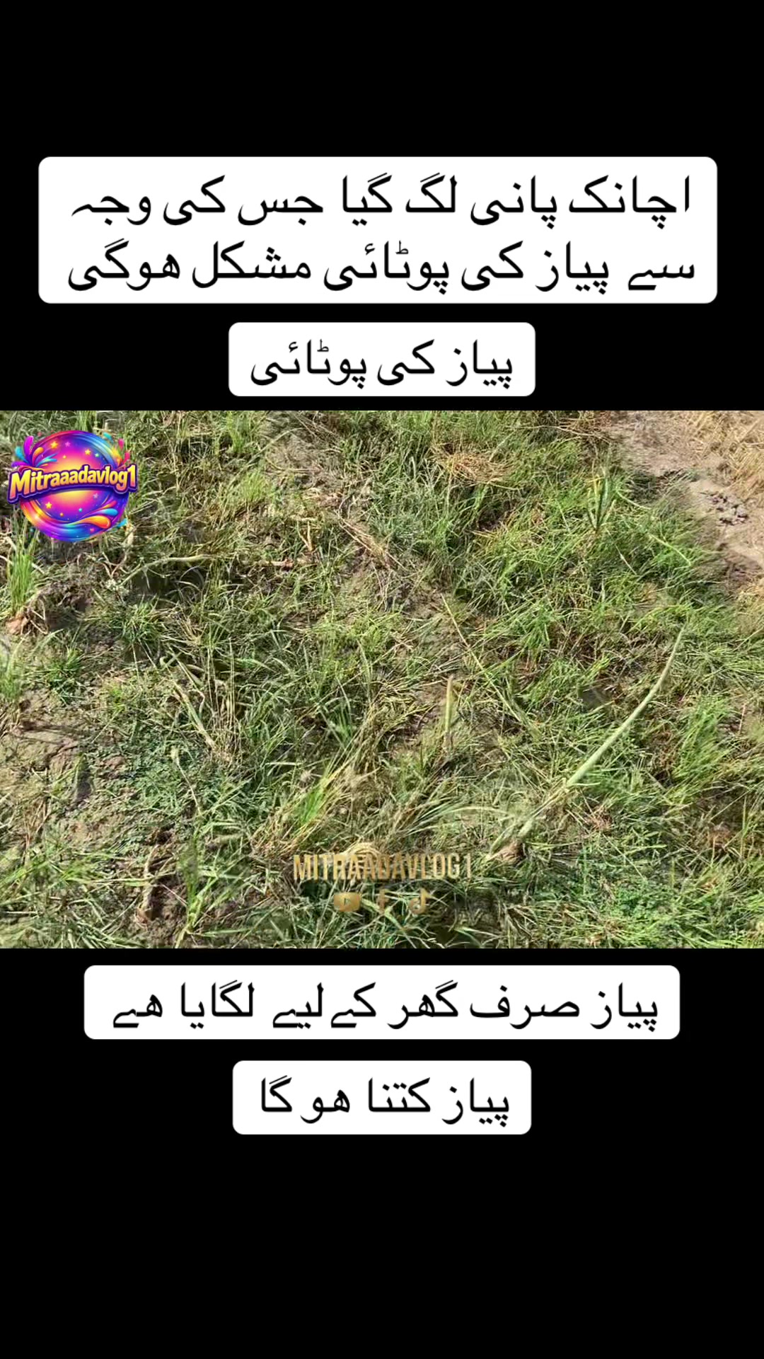 @Mitraadavlog