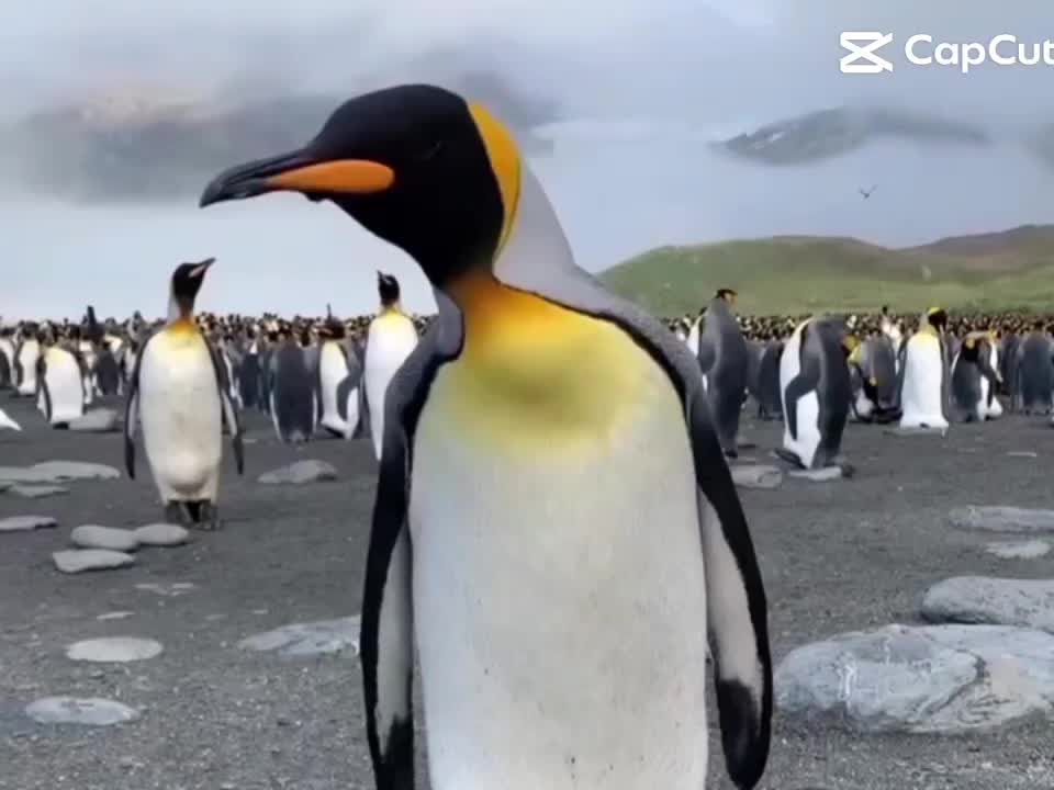 @Mumble but 𝓯𝓻𝓮𝓪𝓴𝔂