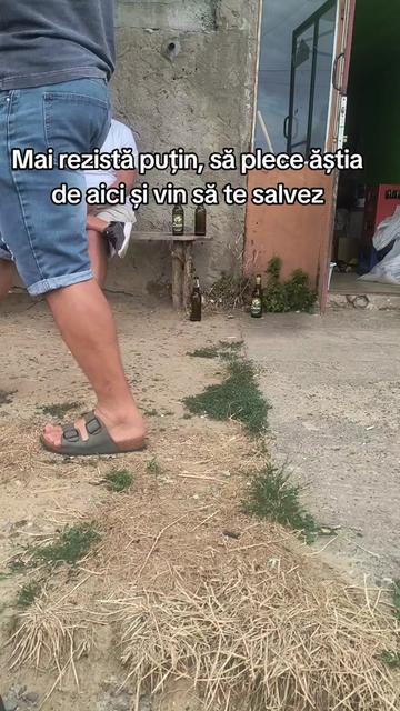 @Ilie Bălcuță