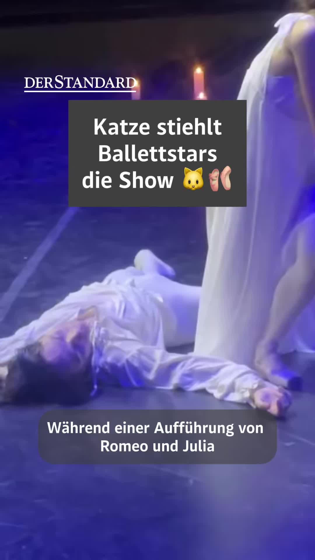 @DER STANDARD News