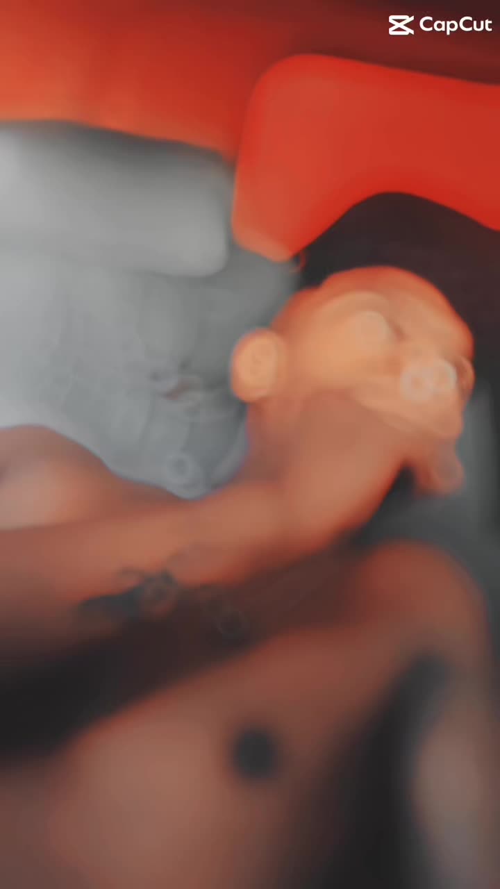 @T|5🤍🐬