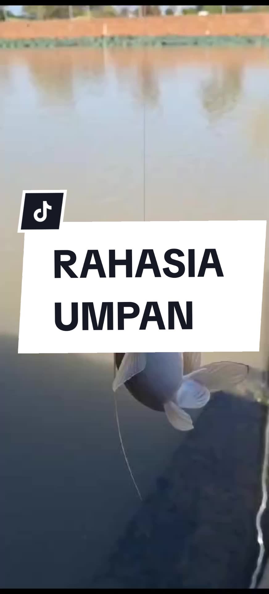 @Pancing Online