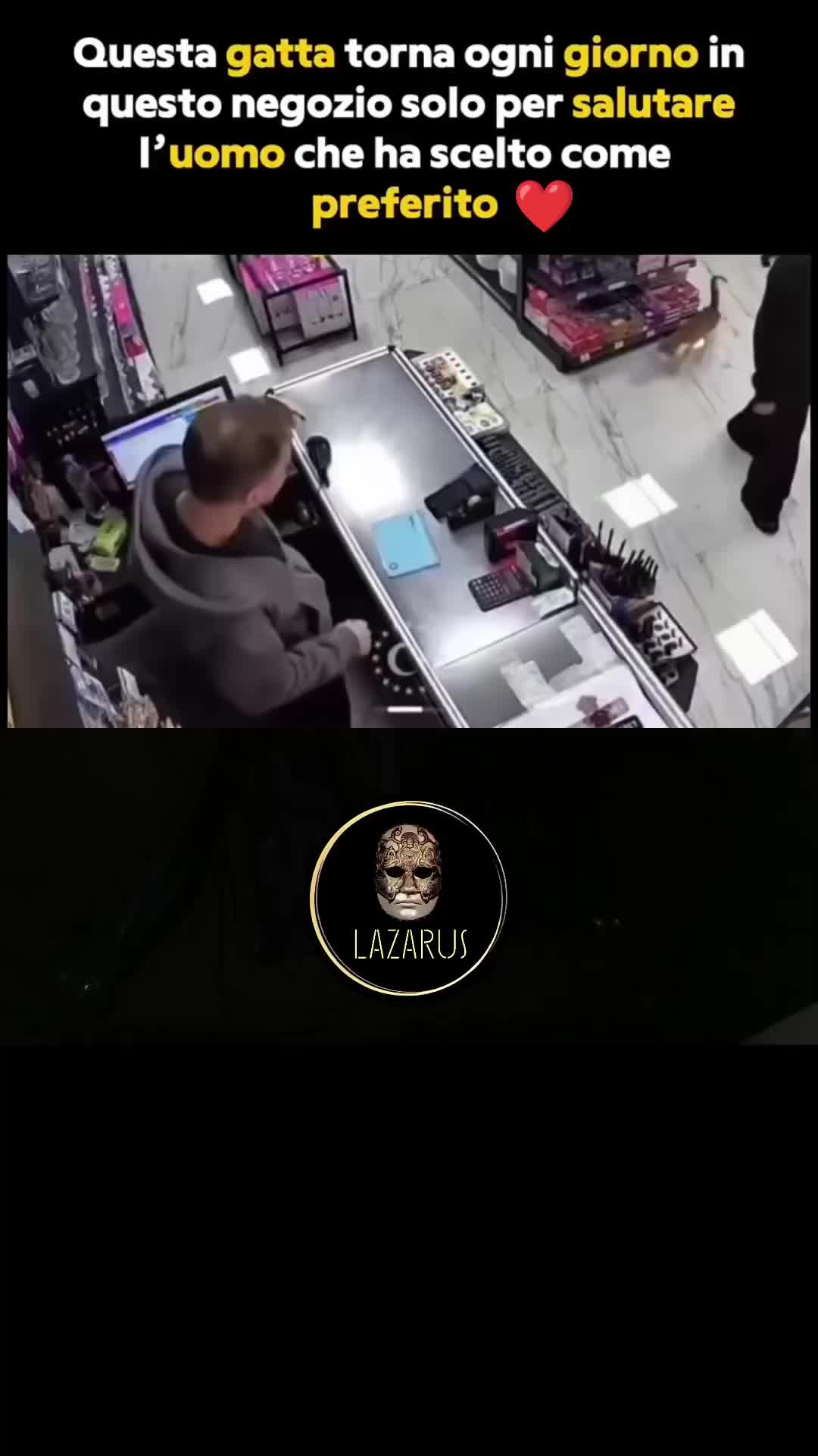@Lazarus