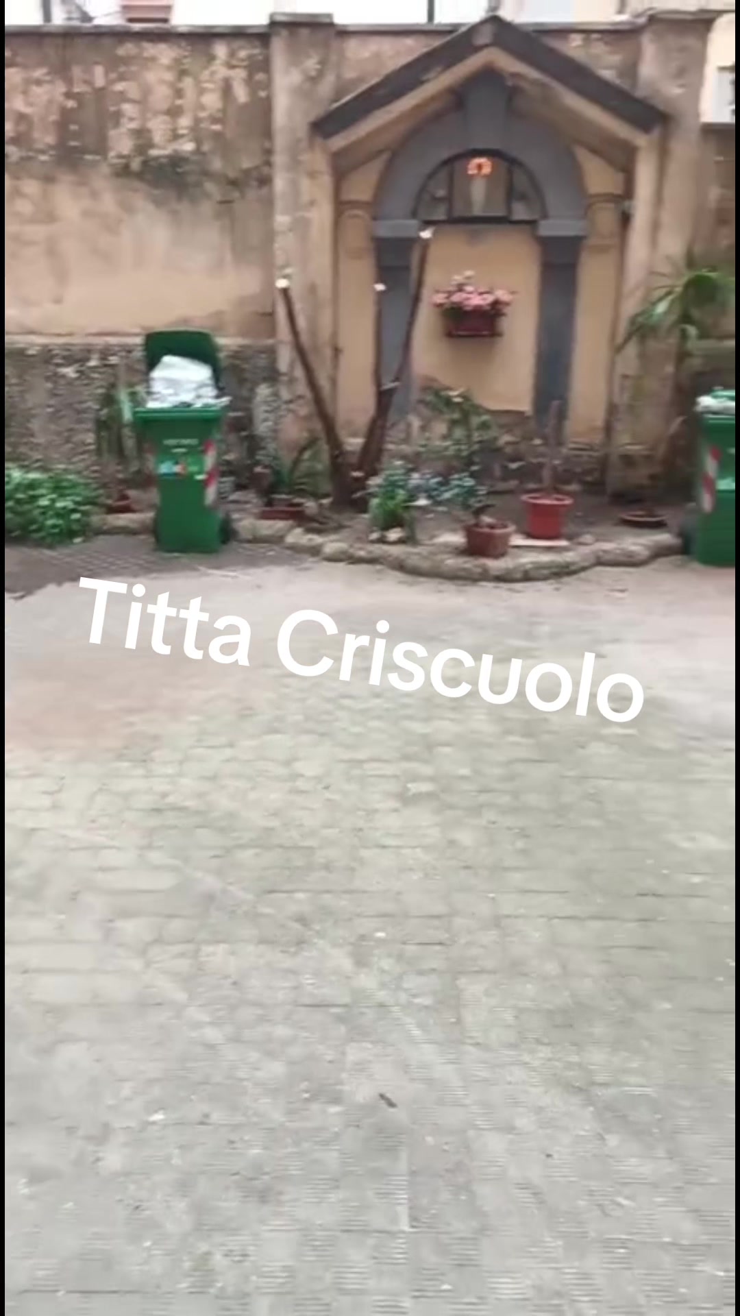 @titta criscuolo