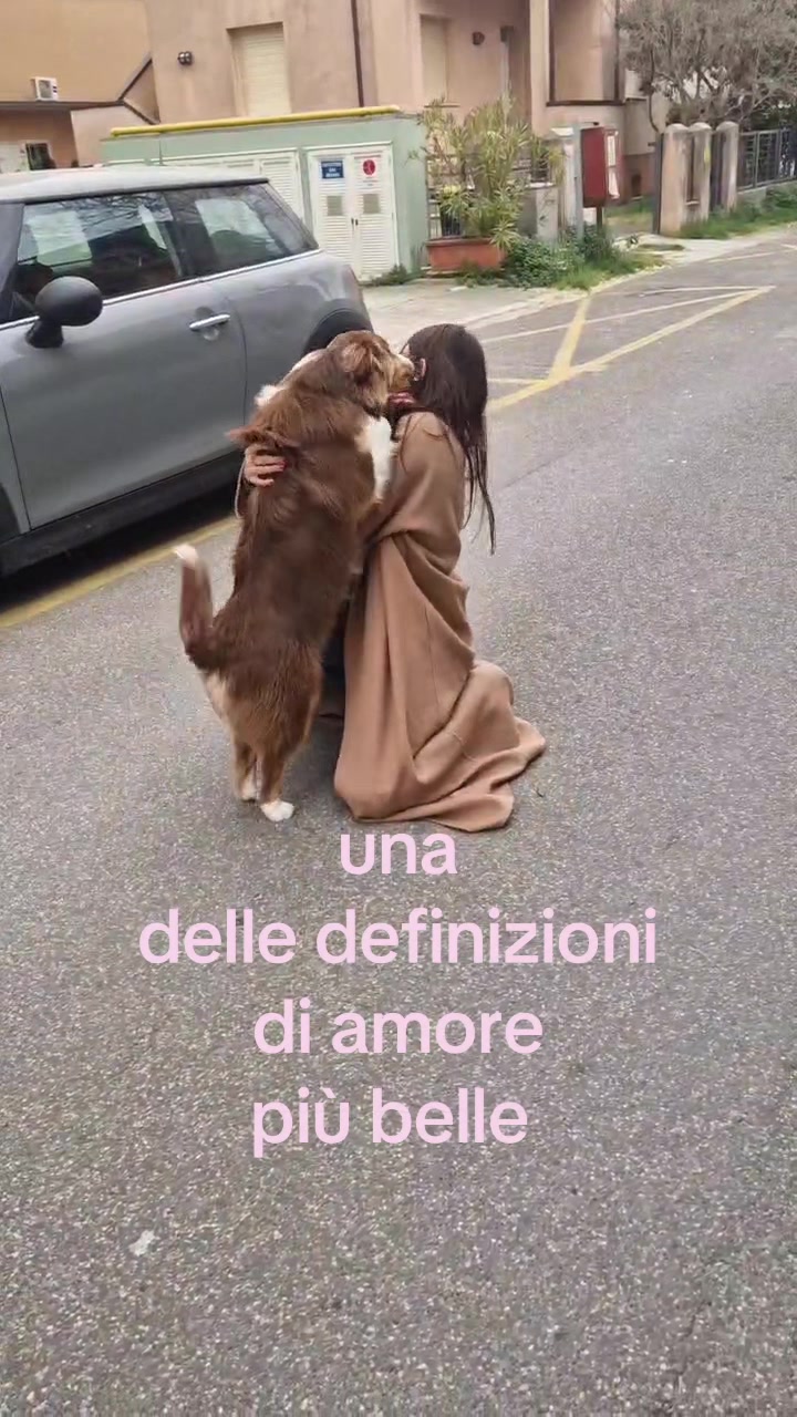 @🧚🏼♀️vitto
