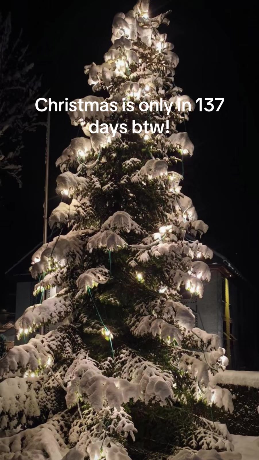 @christmas vibes!