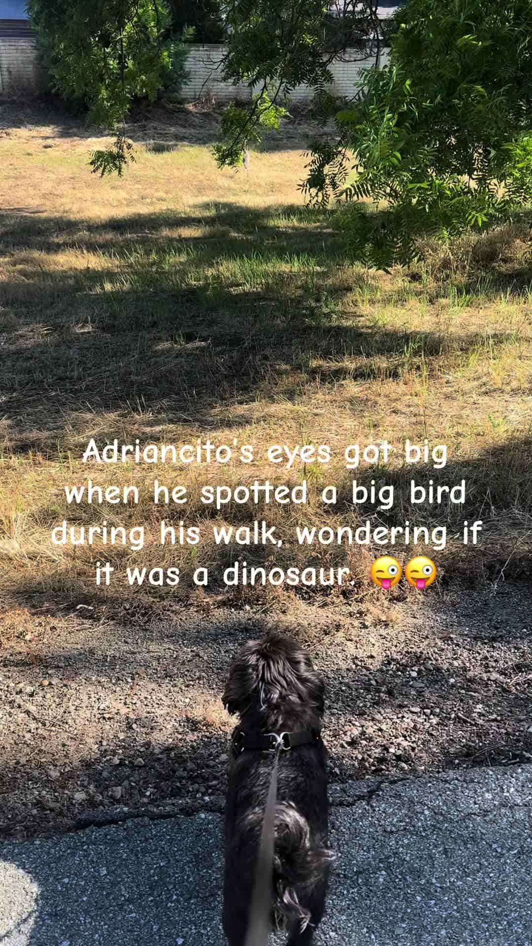 @LifeWithAdriancito