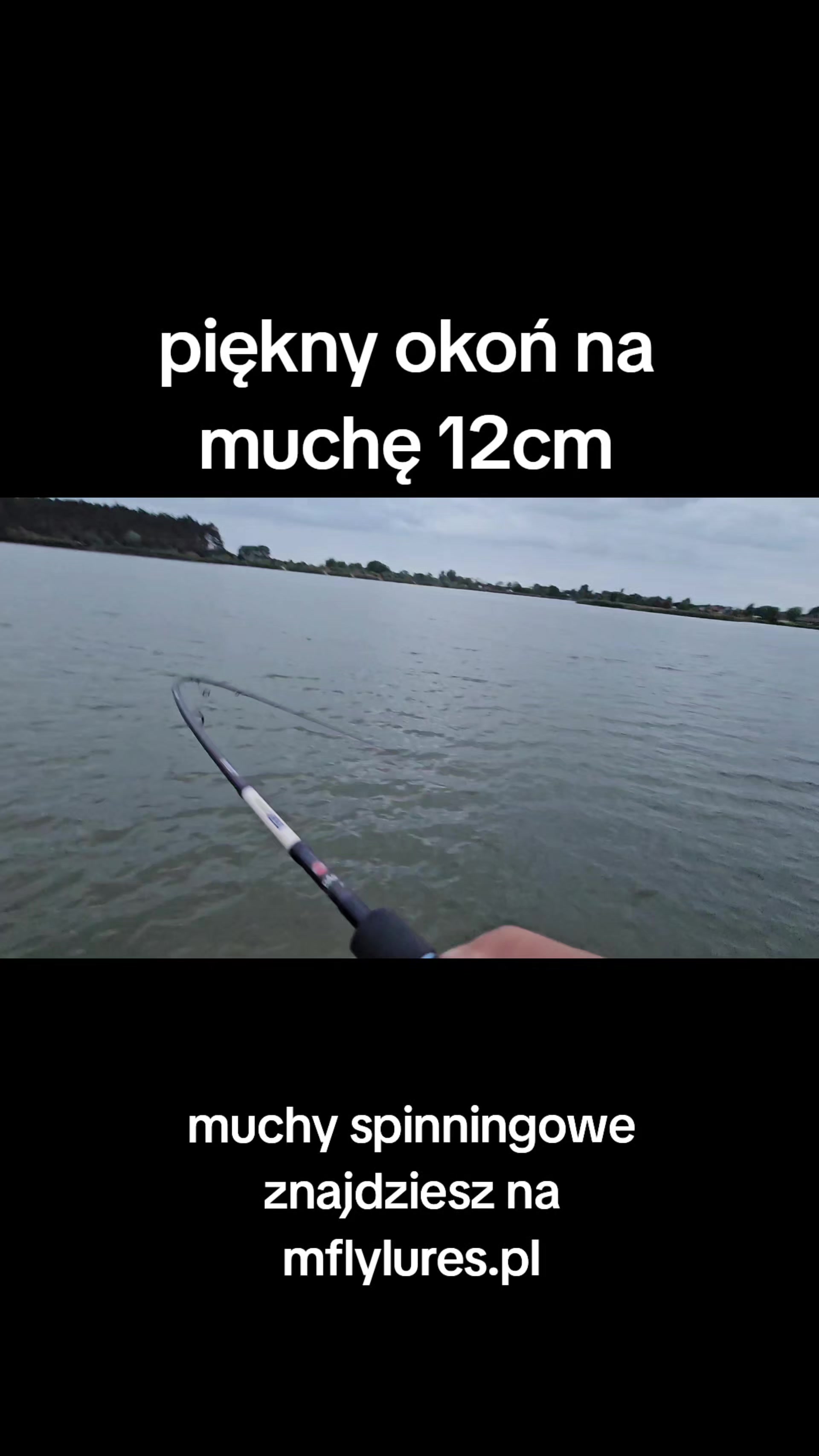 @mfly_lures