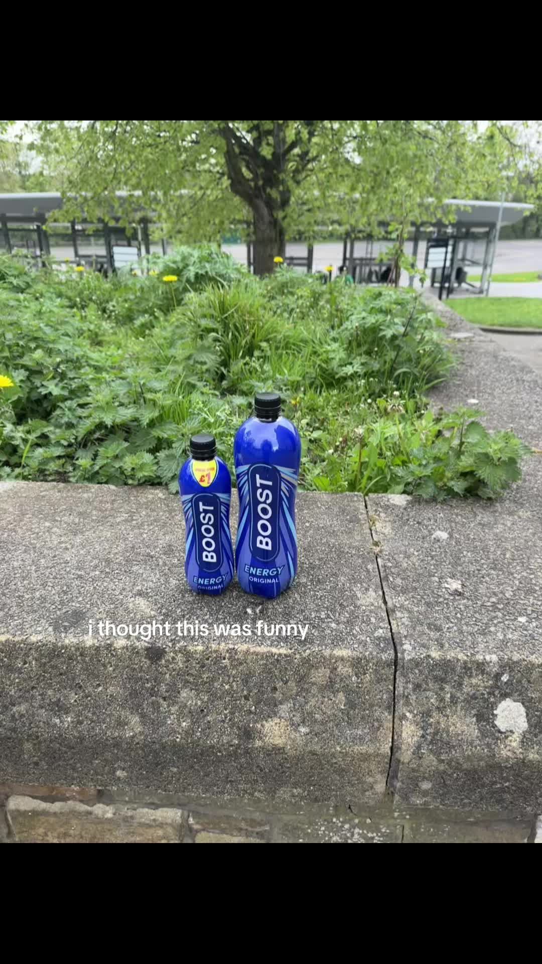 @๐๐ฝ๐๐๐๐๐ธ๐๐๐ถ๐ธ๐๐๐๊จ