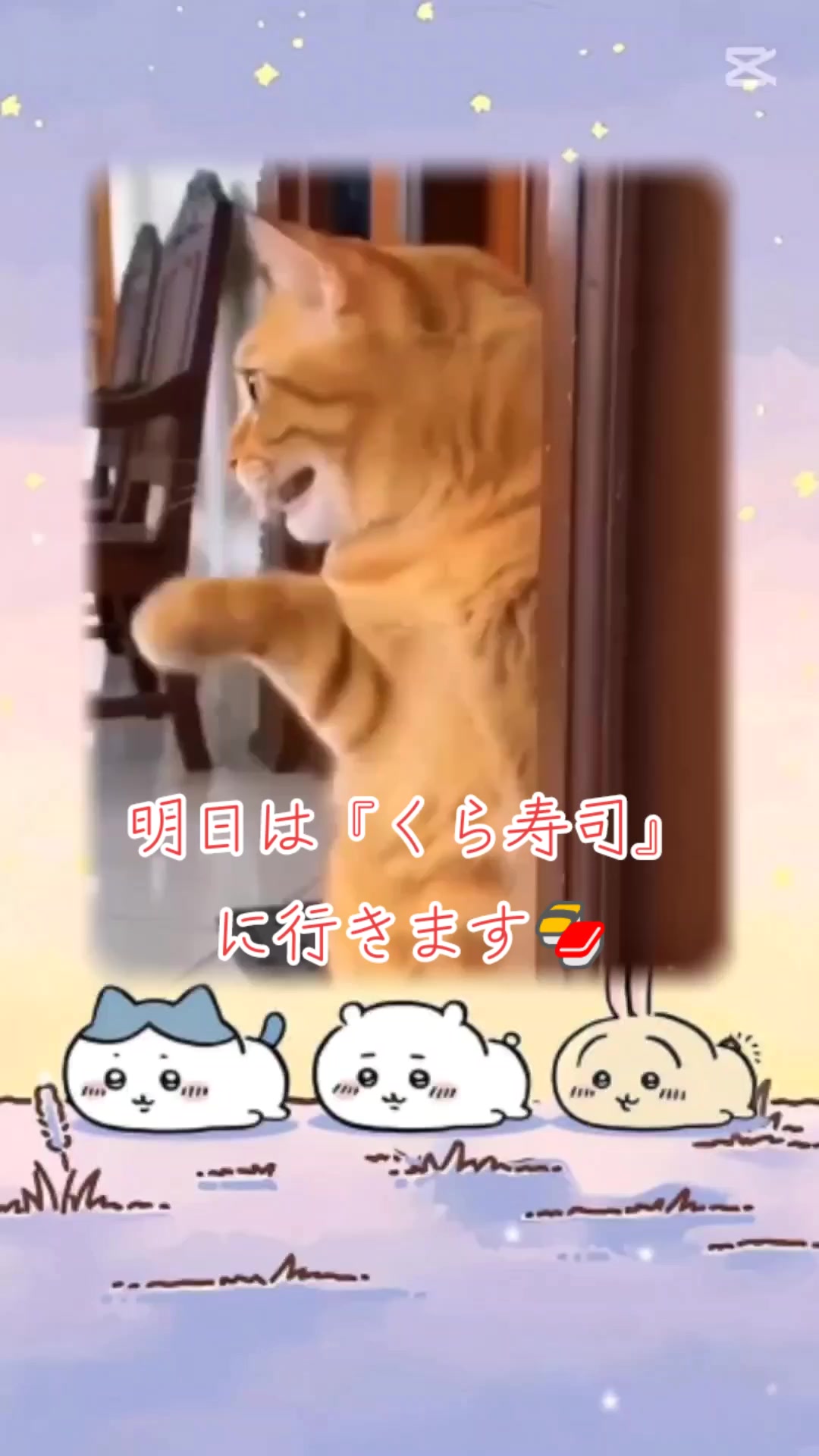 @がじゅまる隊長️🐼🐱⚜️