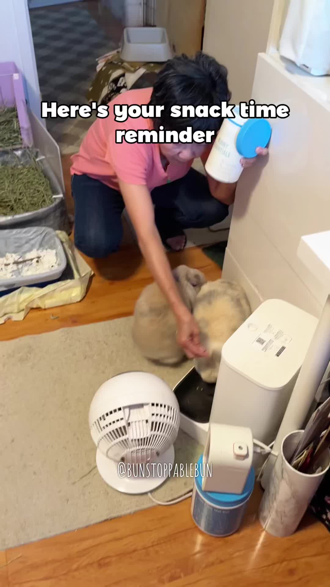 @BunBun, Mochi🌈, Chewy