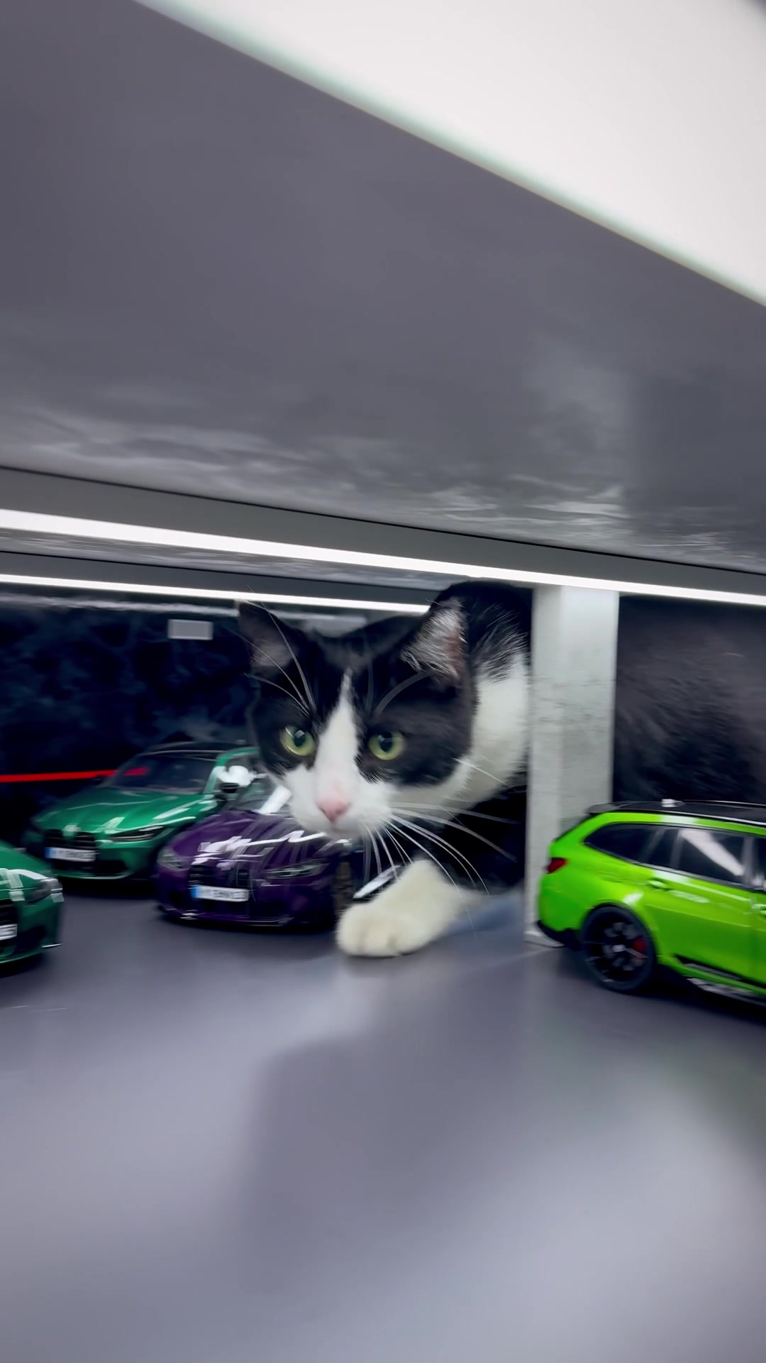 @bmw