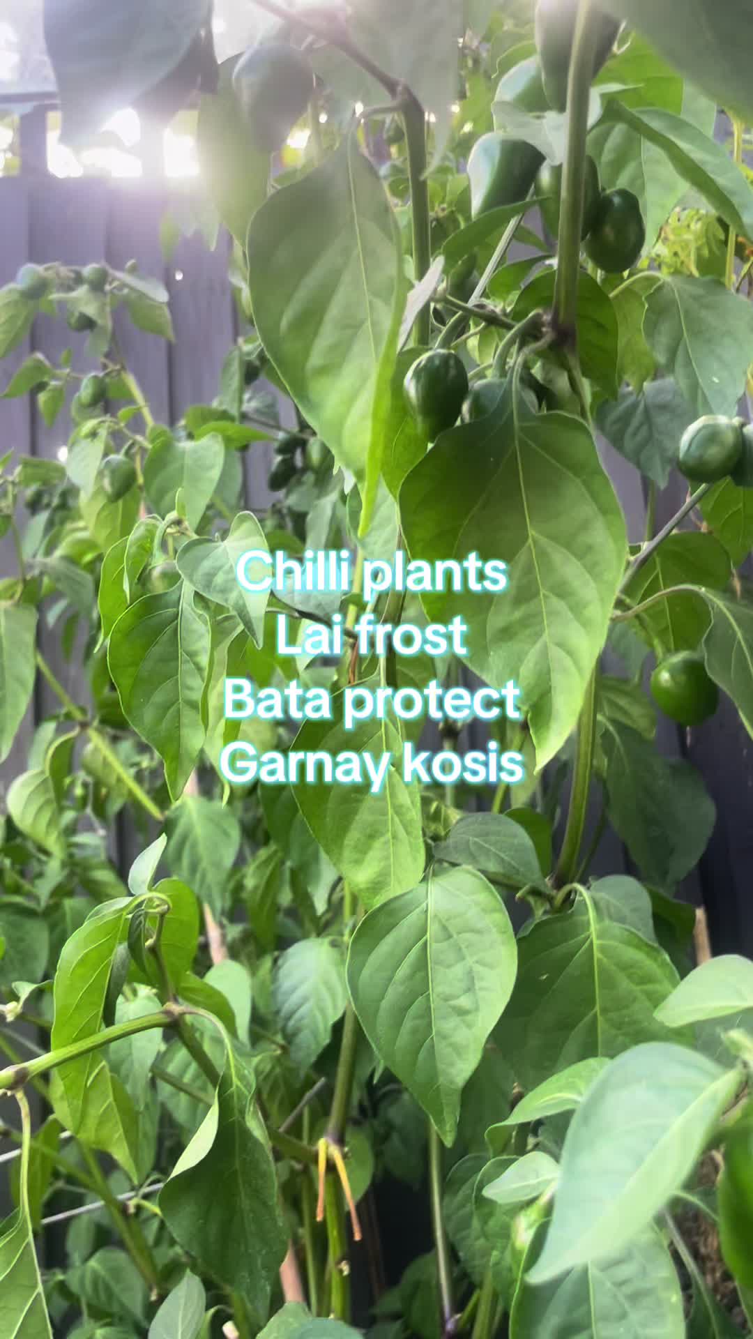 @SP