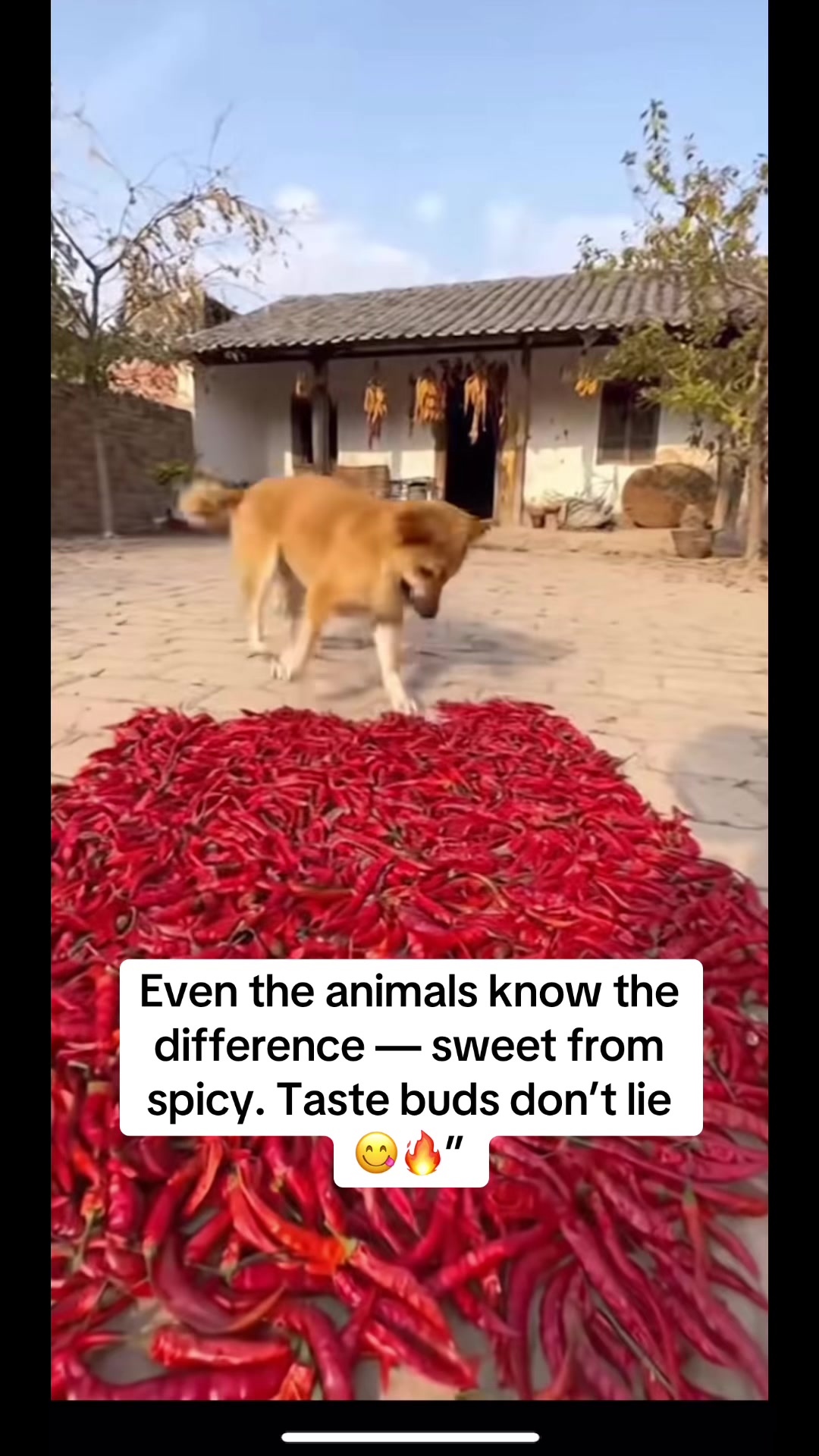 @Nature.best