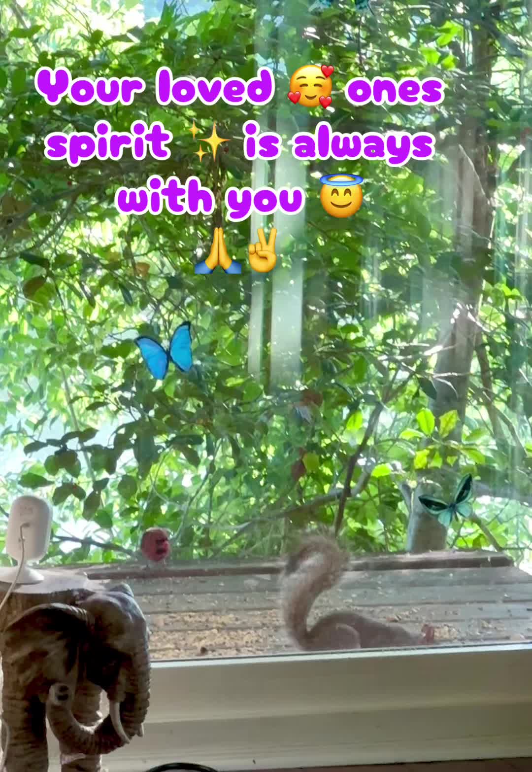 @E🌹