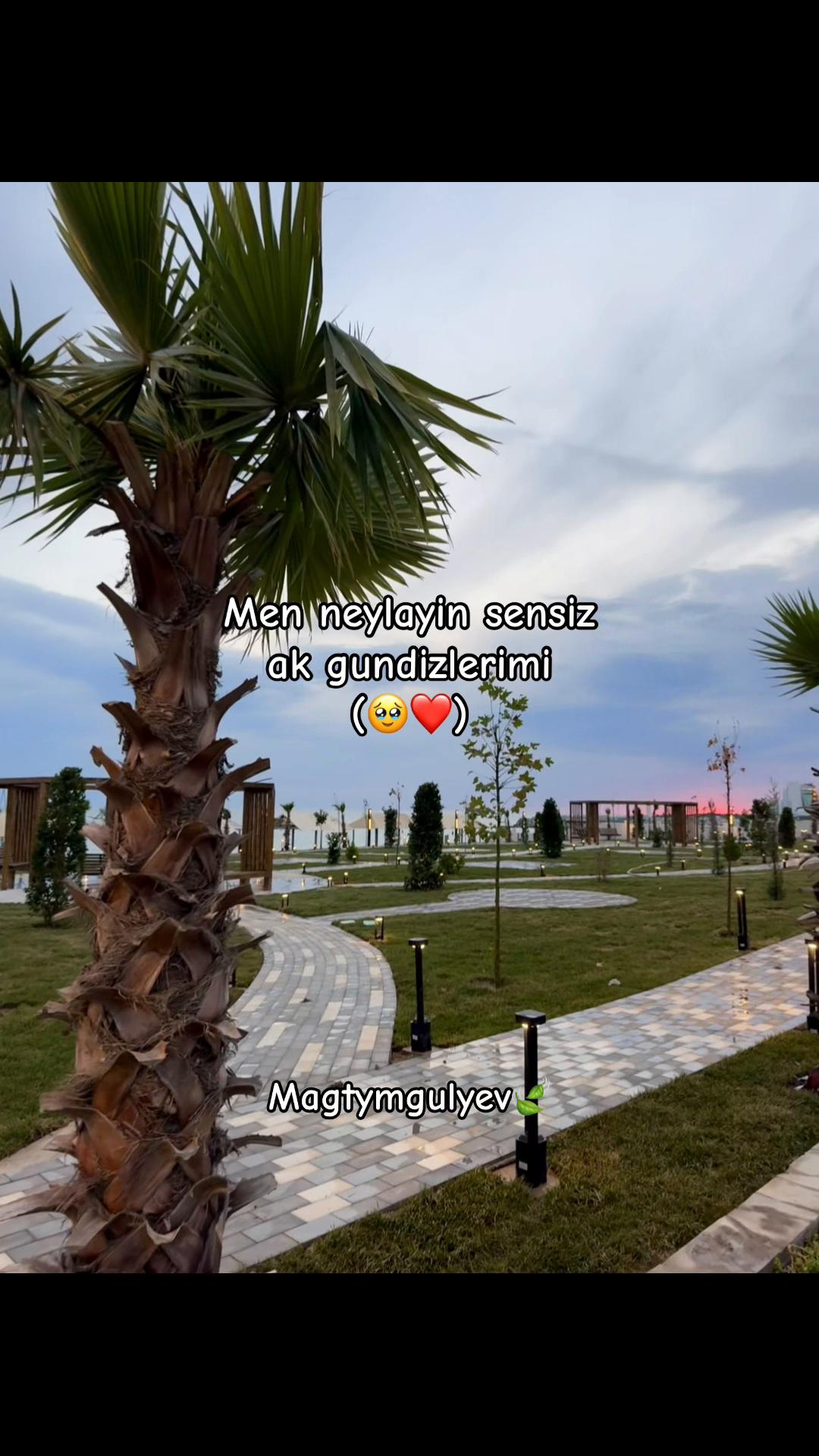 @Magtymgulyev🍃