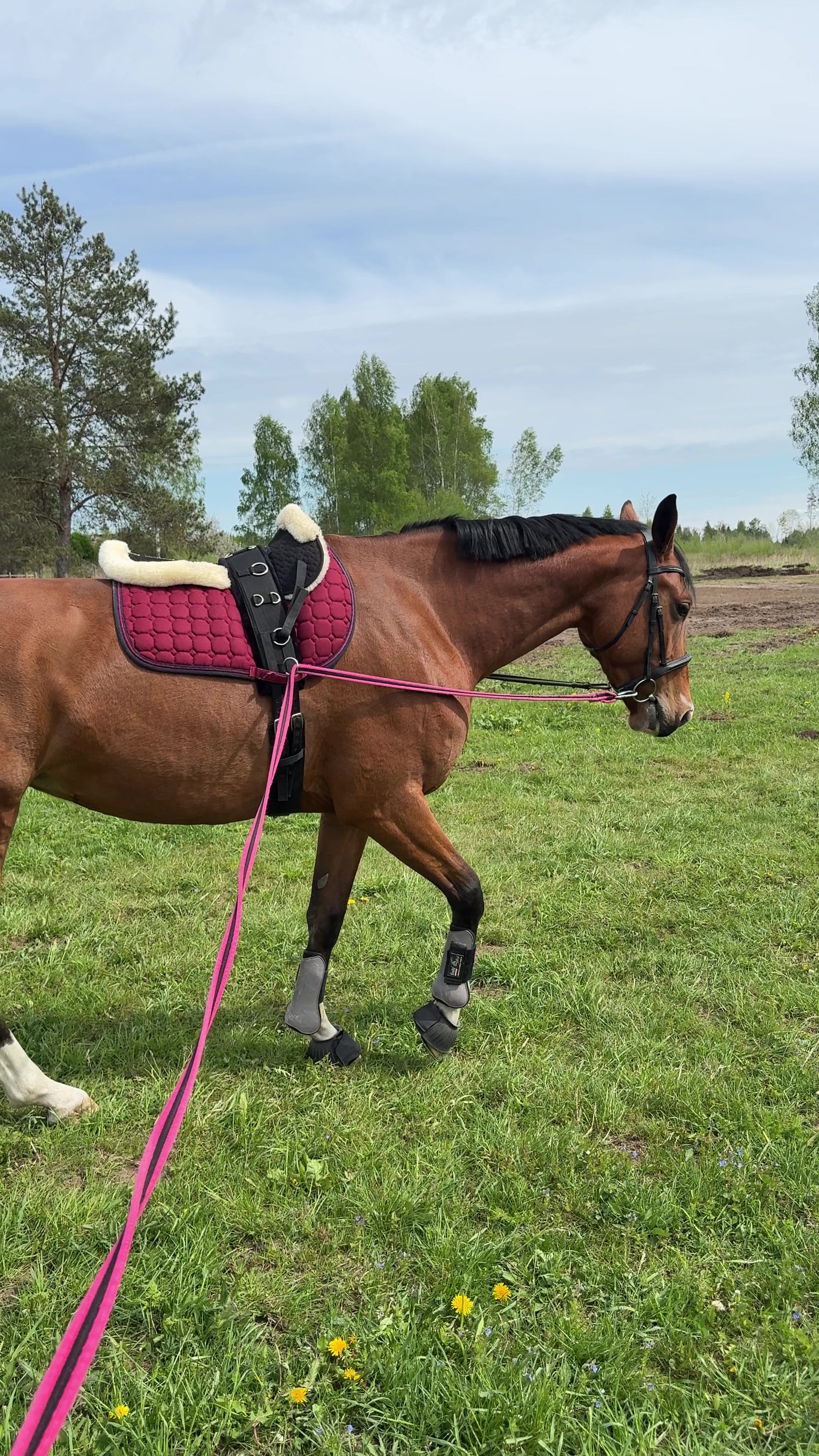 @🚀VIP Rider Academy🐴