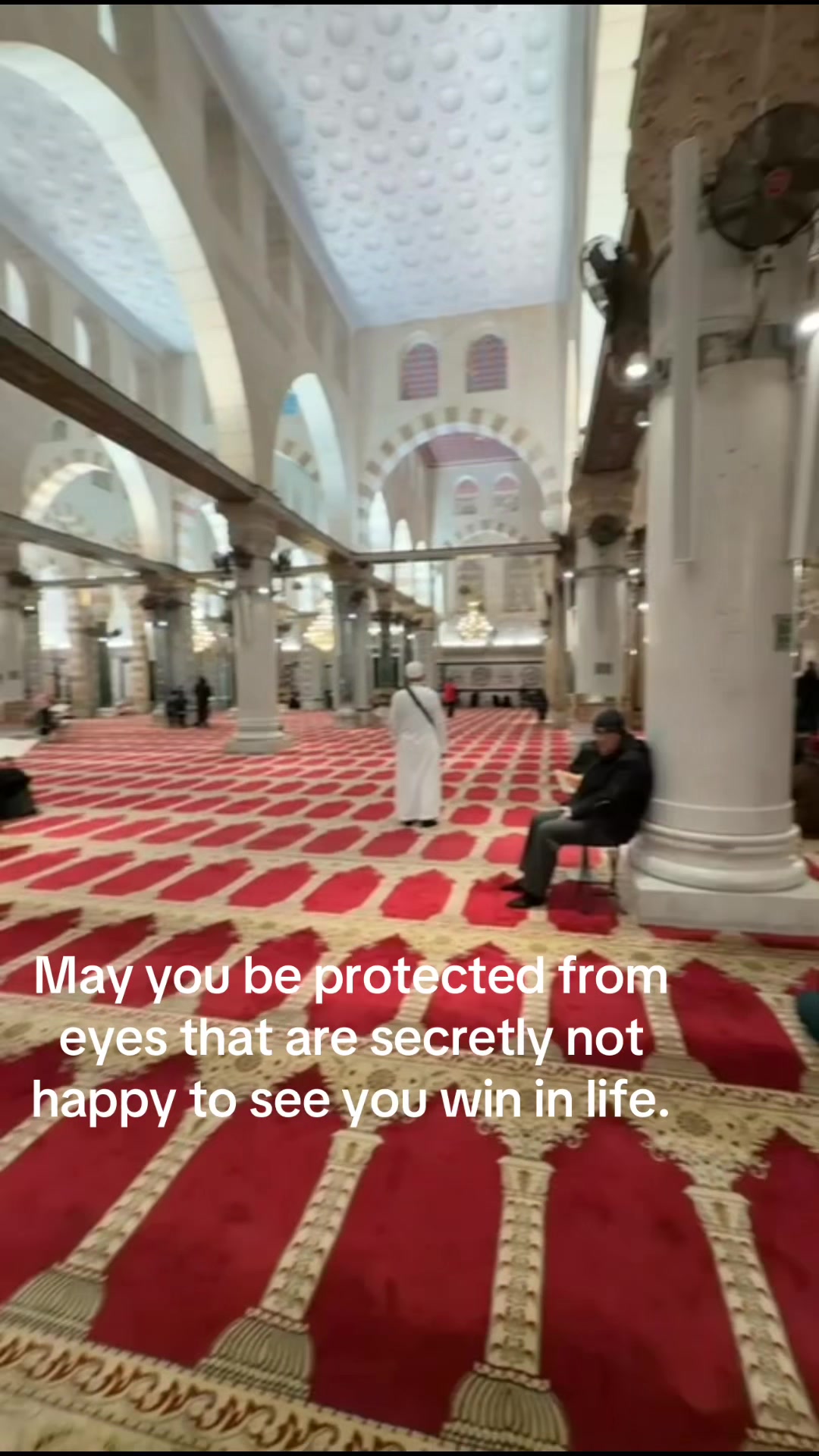 @areebyy_2001