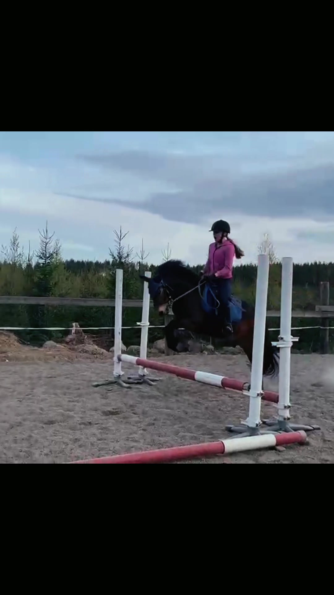 @Ponirannan talli🇫🇮🐎