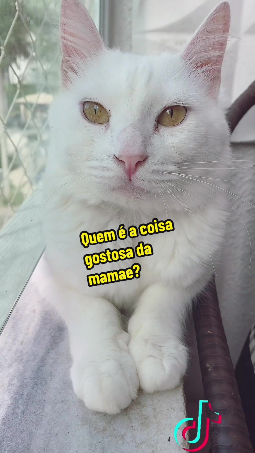 @𝒫𝑒𝓉𝓉𝑒𝓇 ♡