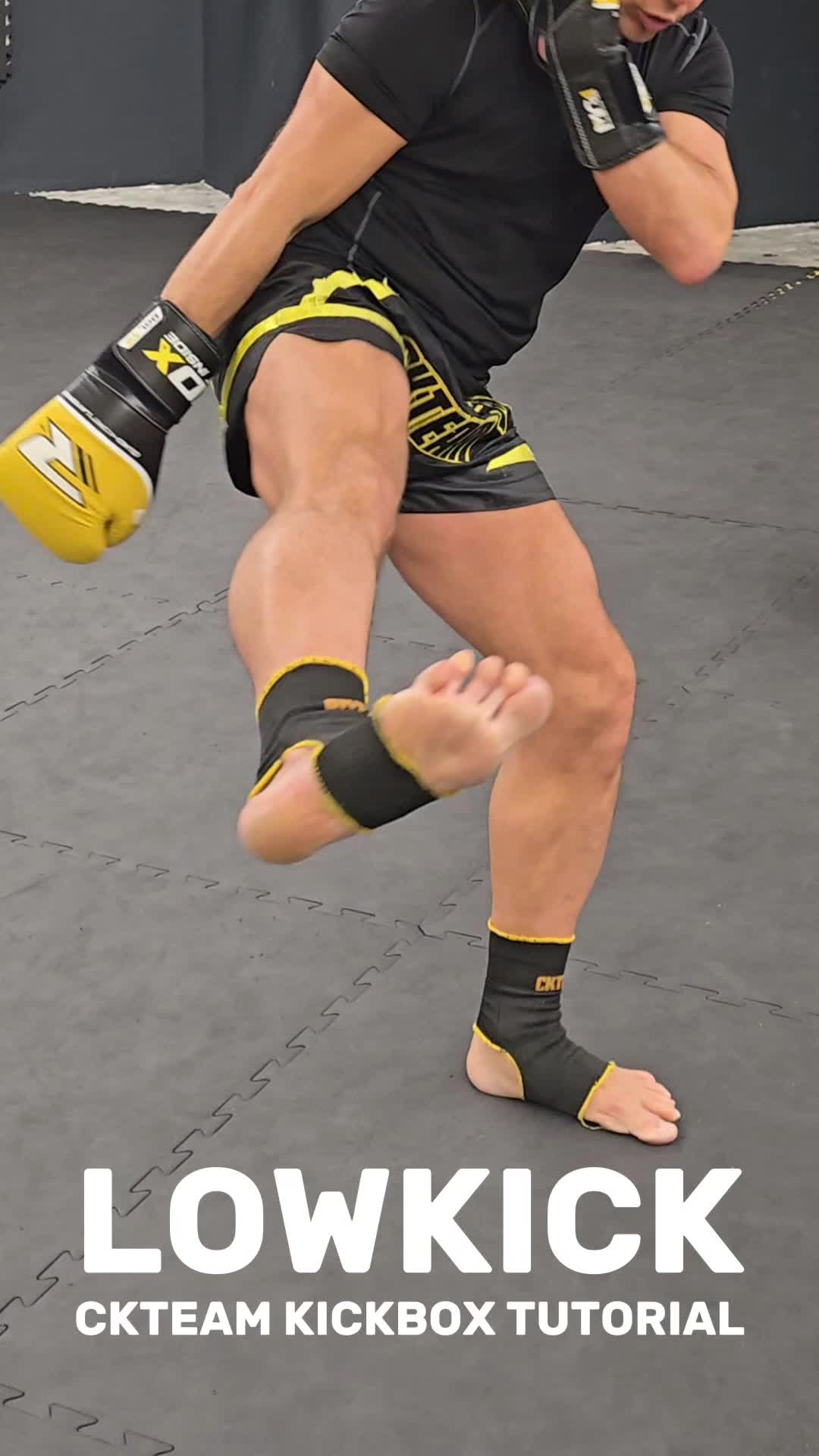 @DIEKICKBOXTRAINER