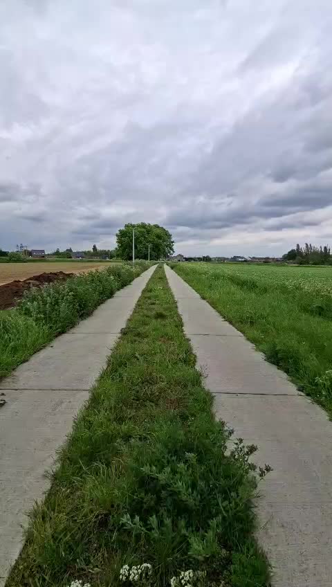 @M.MAERTENS