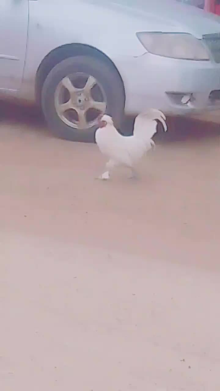 @𝗘𝗱𝘂 𝘆𝗮𝗿𝗶