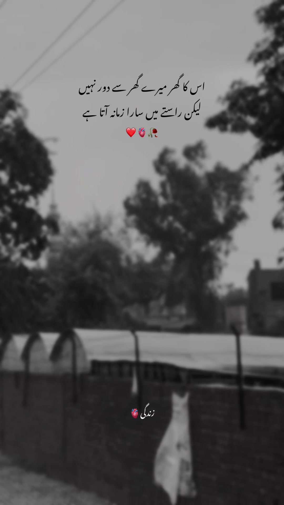 @𝐈𝐭’𝐬 𝐋𝐨𝐬𝐞𝐫🎭