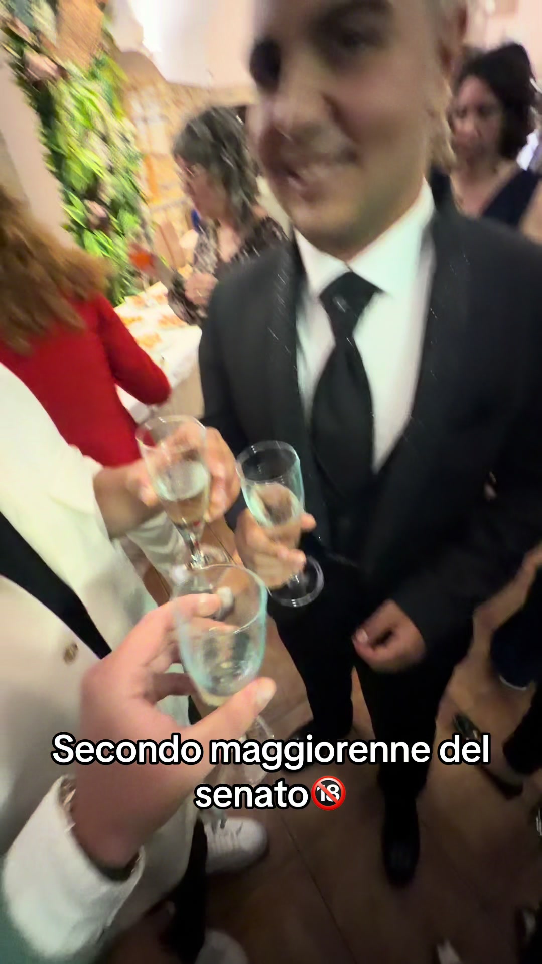 @il senato