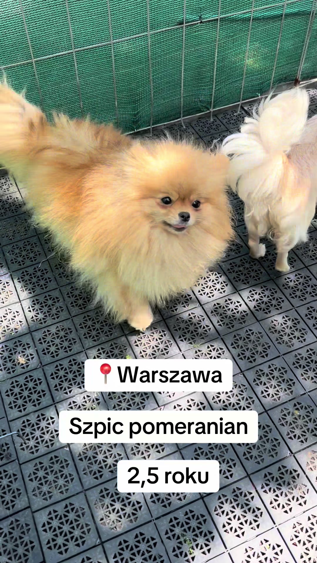 @Ulybki_lilu