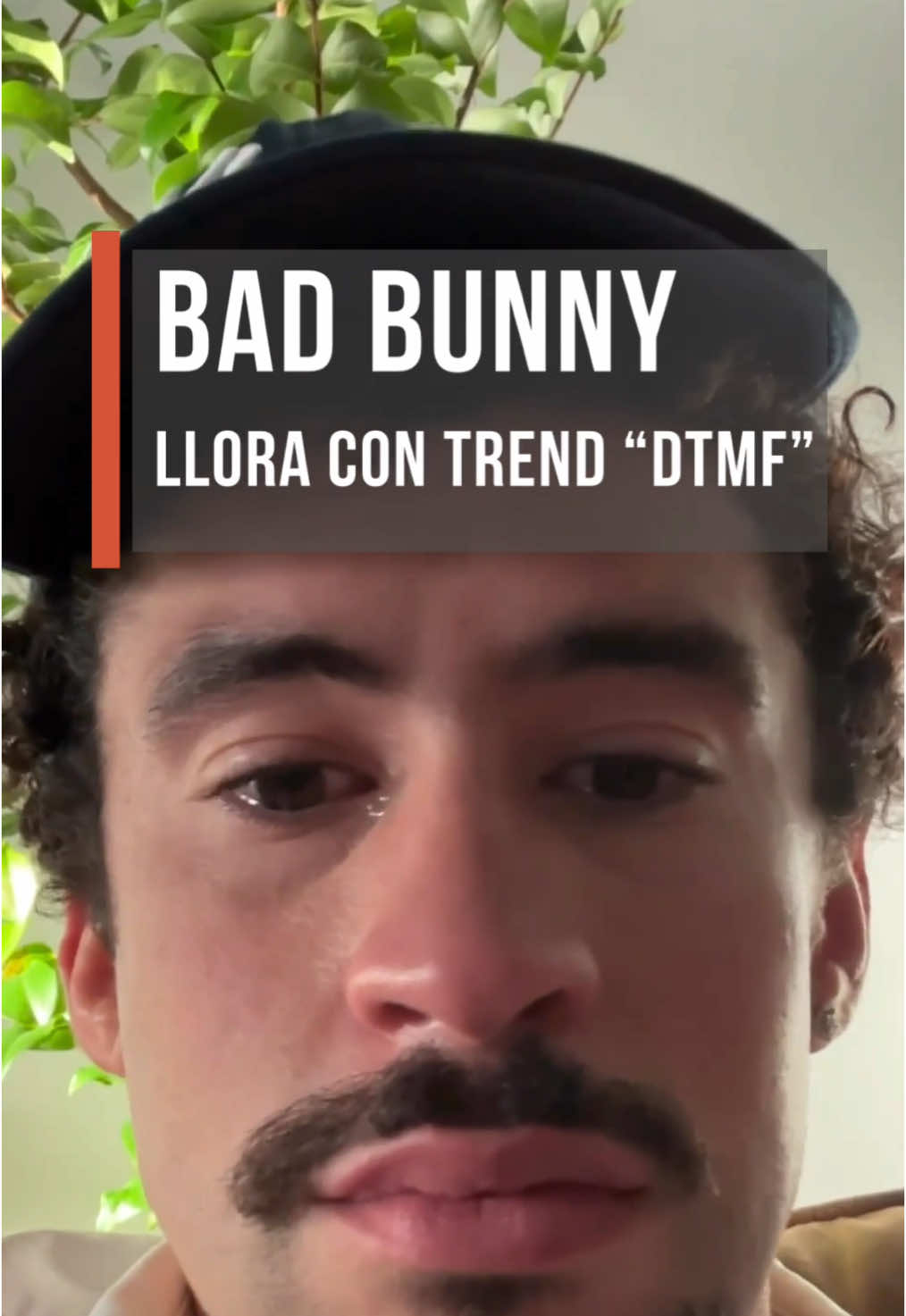 @As&iacute; Sucede Le&oacute;n Noticias