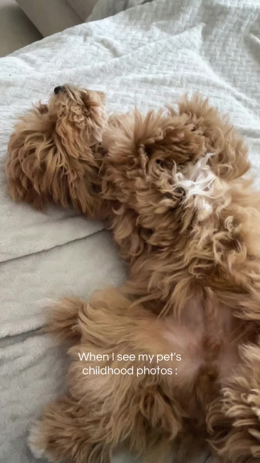 @LizaKeyka💓