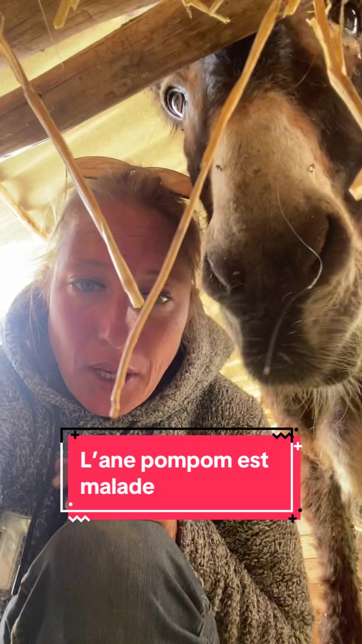 @Les&ensp;&eacute;curies&ensp;de&ensp;la&ensp;roseraie