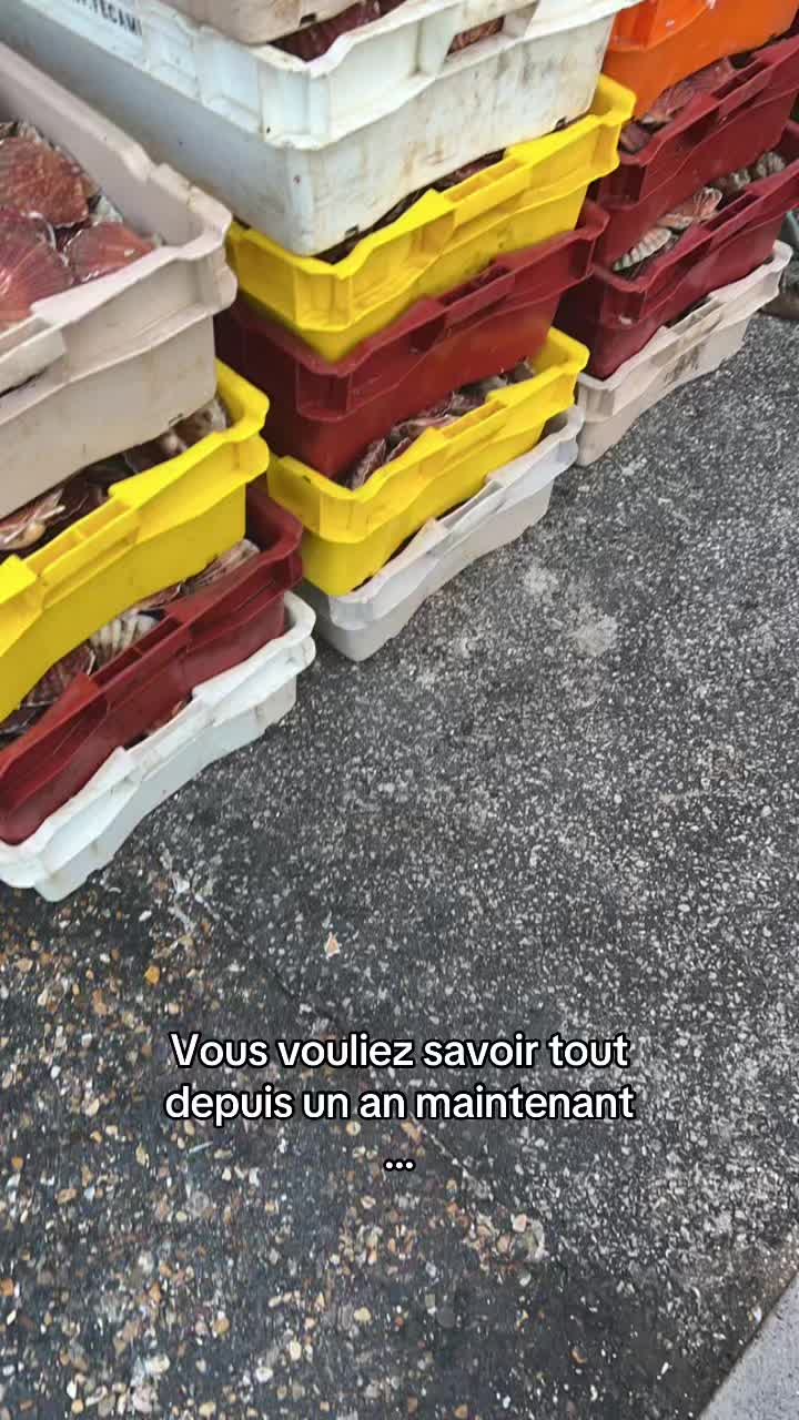@Code Erreur ⛓️