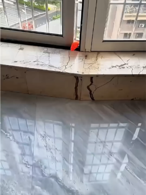 @Funny Highlights
