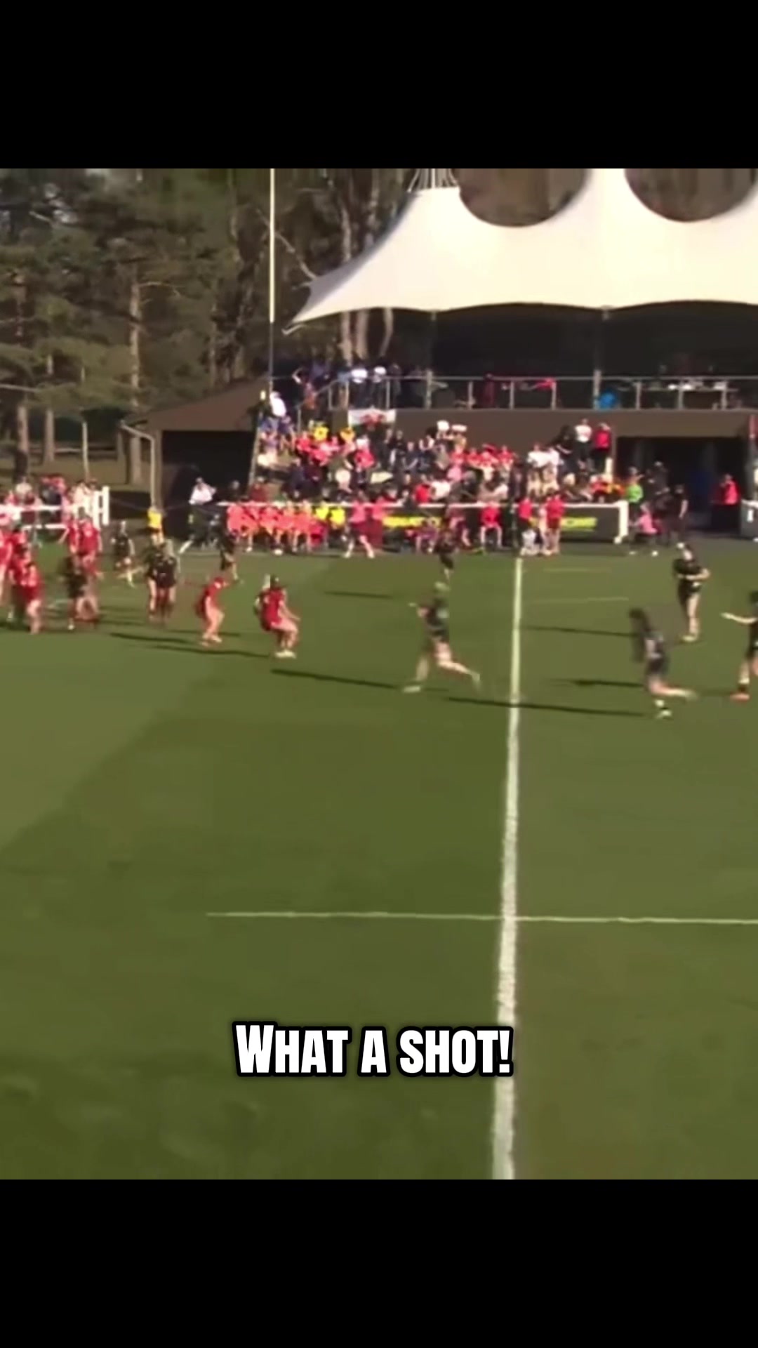 @young_rugby