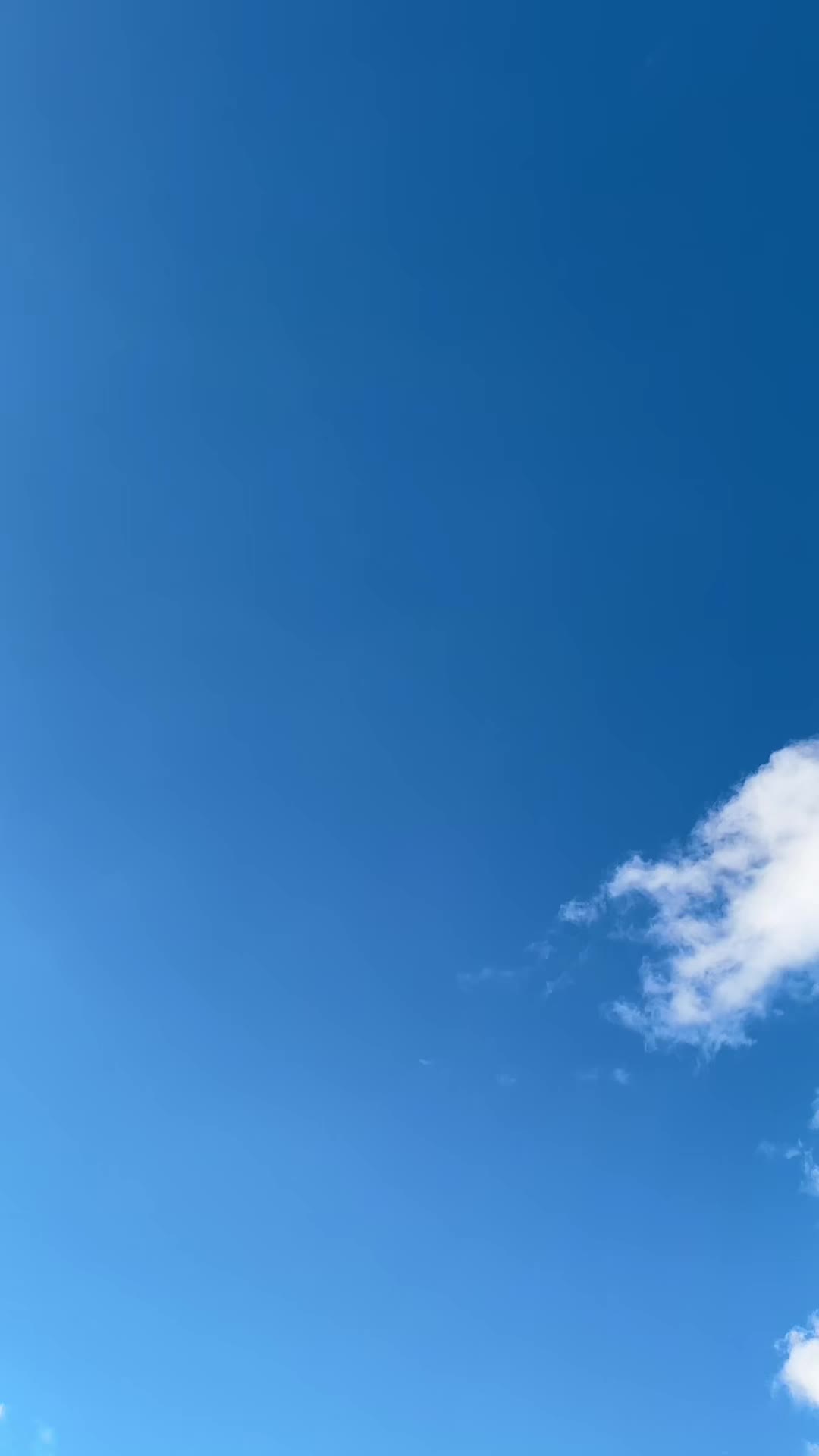 @𝐌𝐢𝐜𝐡𝐚𝐬ツ