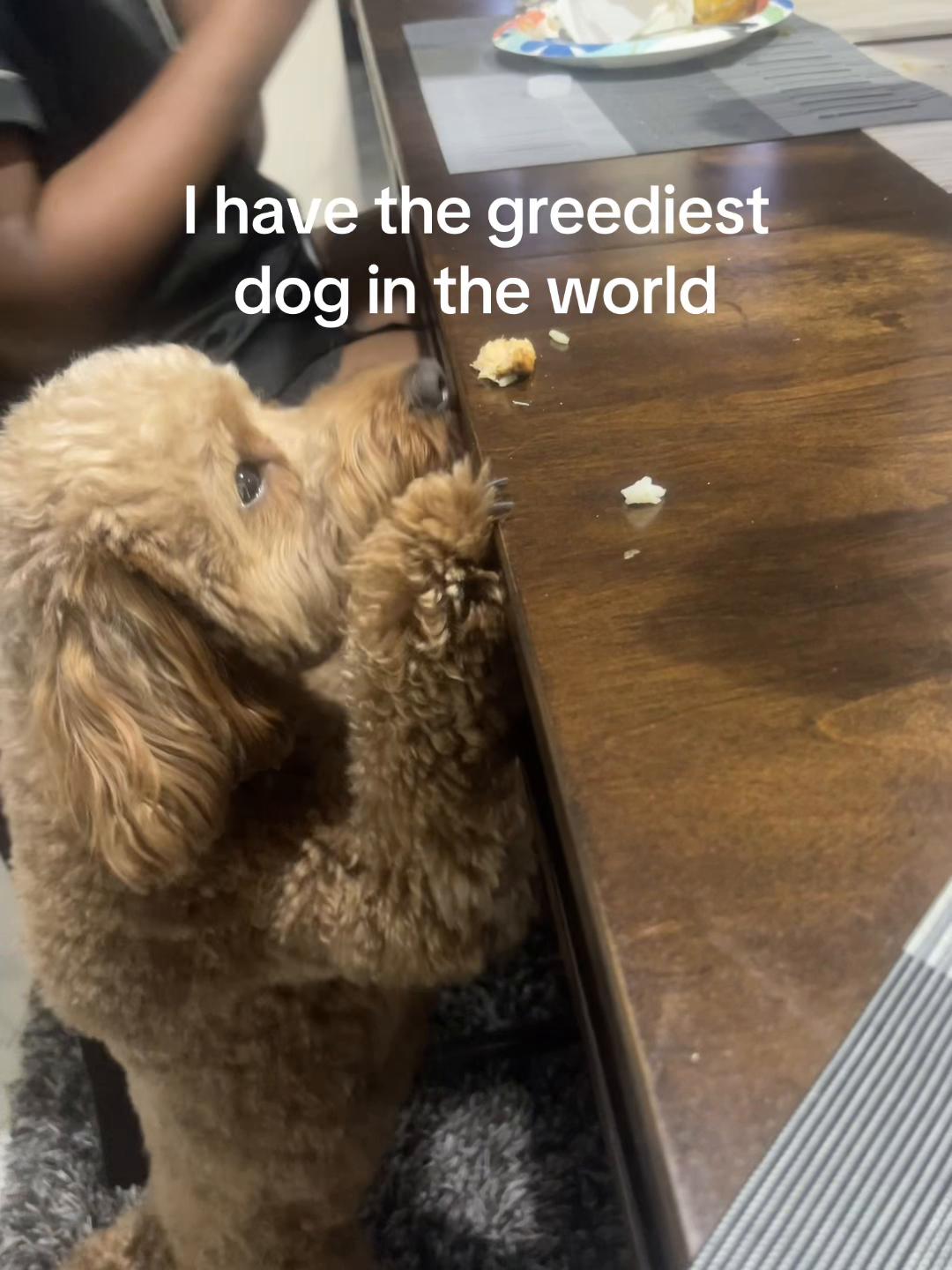 @courtreezy