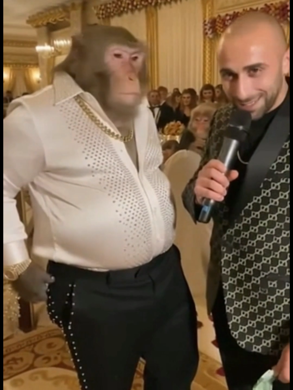 @Кралят на маймуните