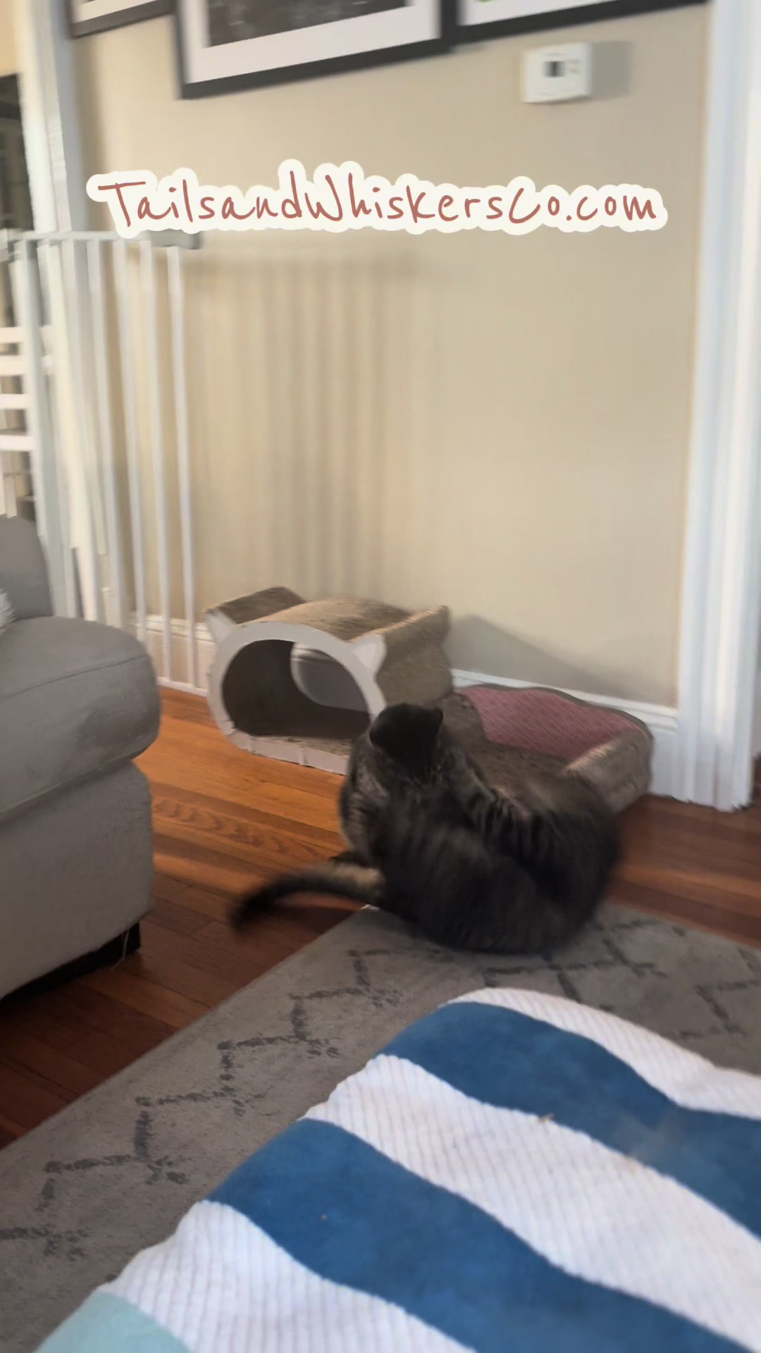 @TailsandWhiskersCo