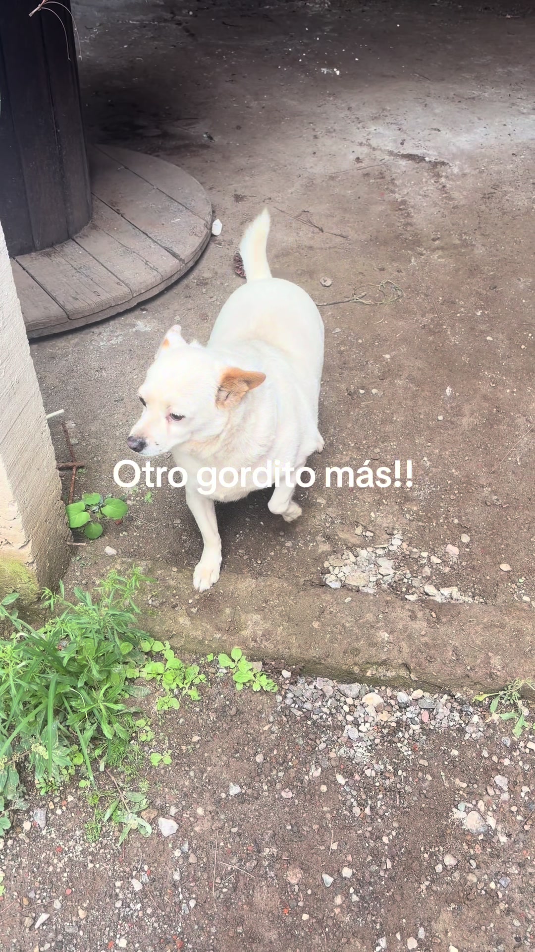 @BereRV