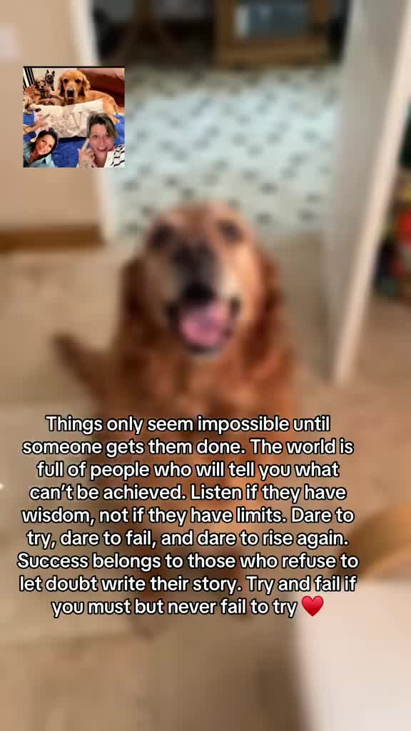 @Happy buddy